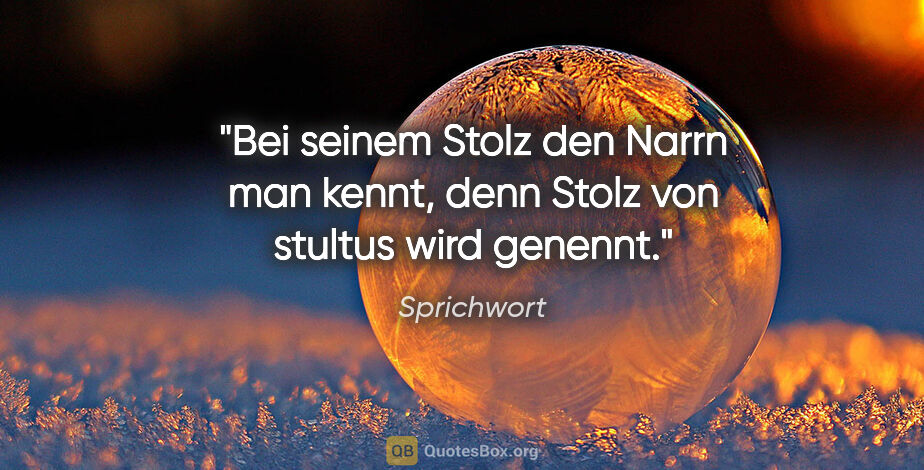 Sprichwort Zitat: "Bei seinem Stolz den Narrn man kennt, denn Stolz von stultus..."