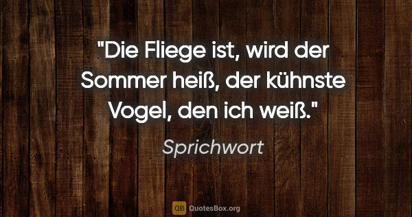 Sprichwort Zitat: "Die Fliege ist, wird der Sommer heiß, der kühnste Vogel, den..."