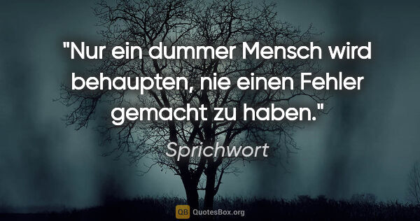 Sprichwort Zitat: "Nur ein dummer Mensch wird behaupten, nie einen Fehler gemacht..."