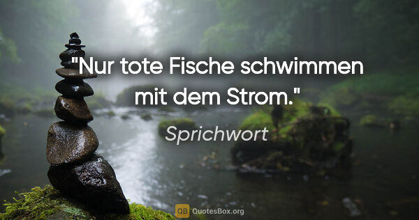 Sprichwort Zitat: "Nur tote Fische schwimmen mit dem Strom."