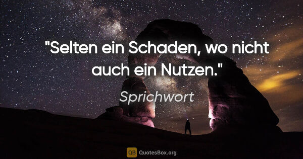 Sprichwort Zitat: "Selten ein Schaden, wo nicht auch ein Nutzen."