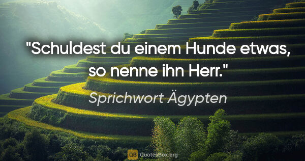 Sprichwort Ägypten Zitat: "Schuldest du einem Hunde etwas, so nenne ihn "Herr"."