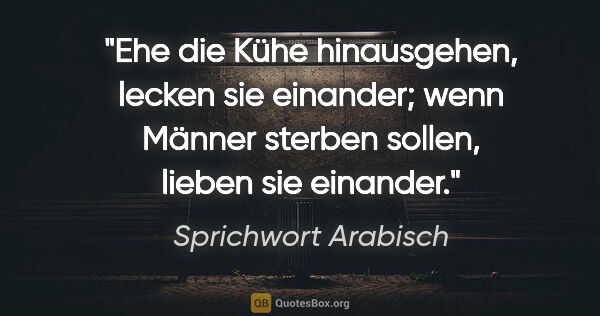 Sprichwort Arabisch Zitat: "Ehe die Kühe hinausgehen, lecken sie einander; wenn Männer..."