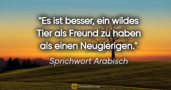 Sprichwort Arabisch Zitat: "Es ist besser, ein wildes Tier als Freund zu haben als einen..."