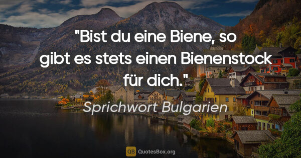 Sprichwort Bulgarien Zitat: "Bist du eine Biene, so gibt es stets einen Bienenstock für dich."