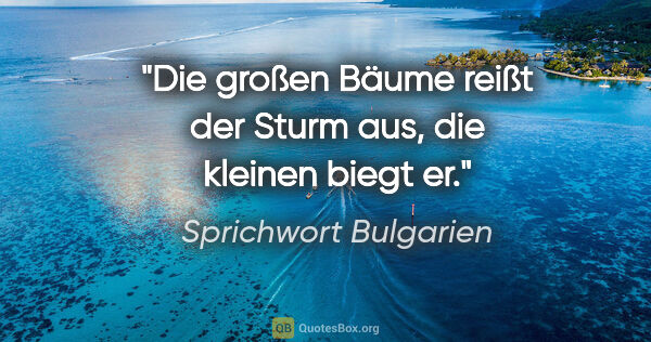 Sprichwort Bulgarien Zitat: "Die großen Bäume reißt der Sturm aus, die kleinen biegt er."