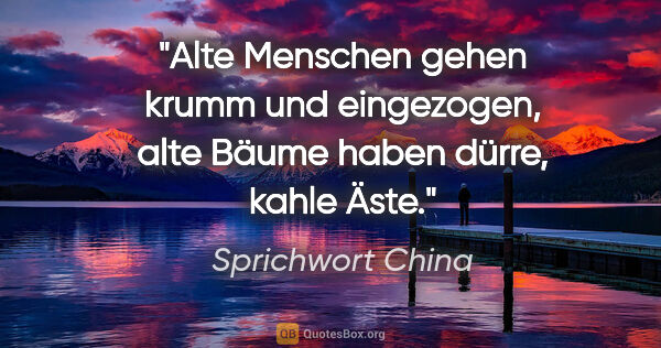 Sprichwort China Zitat: "Alte Menschen gehen krumm und eingezogen, alte Bäume haben..."