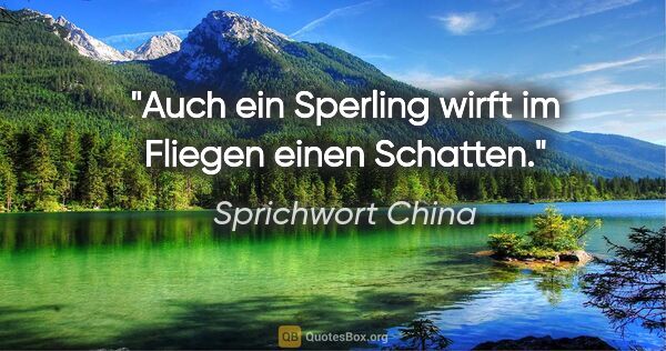 Sprichwort China Zitat: "Auch ein Sperling wirft im Fliegen einen Schatten."