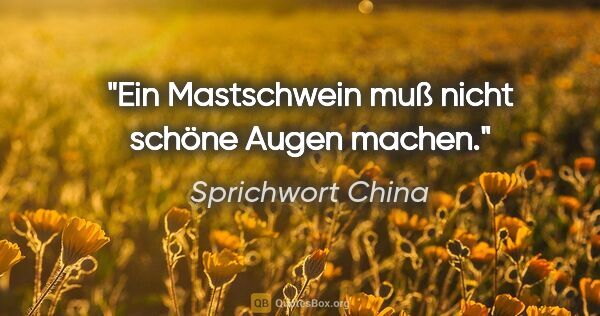 Sprichwort China Zitat: "Ein Mastschwein muß nicht schöne Augen machen."