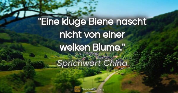 Sprichwort China Zitat: "Eine kluge Biene nascht nicht von einer welken Blume."