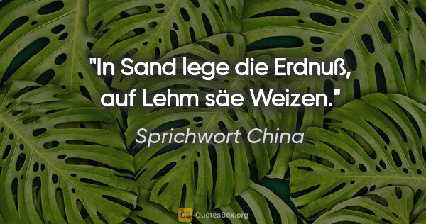 Sprichwort China Zitat: "In Sand lege die Erdnuß, auf Lehm säe Weizen."