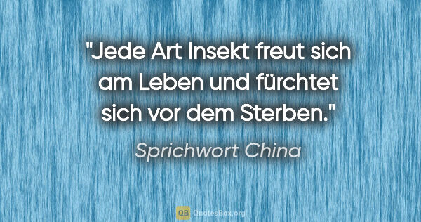 Sprichwort China Zitat: "Jede Art Insekt freut sich am Leben und fürchtet sich vor dem..."