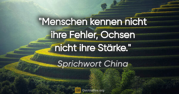 Sprichwort China Zitat: "Menschen kennen nicht ihre Fehler, Ochsen nicht ihre Stärke."