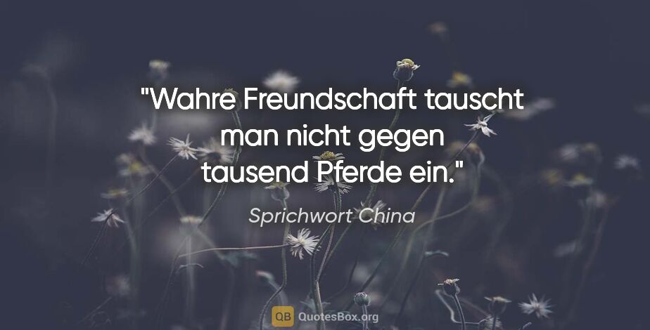 Sprichwort China Zitat: "Wahre Freundschaft tauscht man nicht gegen tausend Pferde ein."