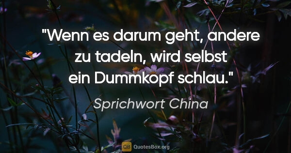 Sprichwort China Zitat: "Wenn es darum geht, andere zu tadeln, wird selbst ein Dummkopf..."