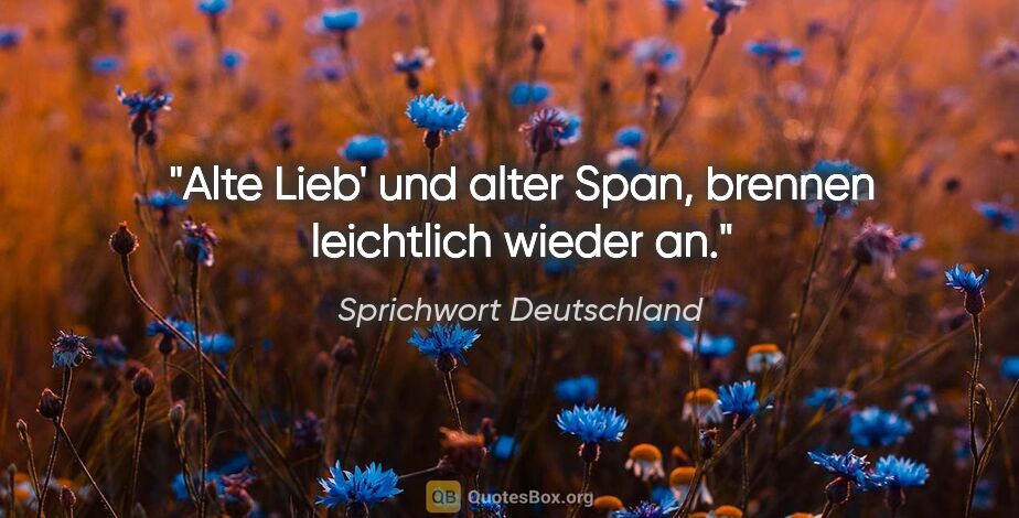 Sprichwort Deutschland Zitat: "Alte Lieb' und alter Span, brennen leichtlich wieder an."