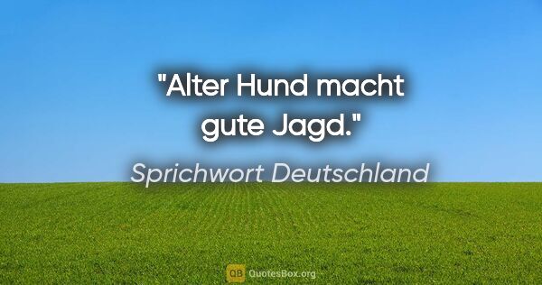 Sprichwort Deutschland Zitat: "Alter Hund macht gute Jagd."