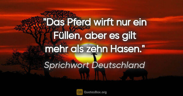 Sprichwort Deutschland Zitat: "Das Pferd wirft nur ein Füllen, aber es gilt mehr als zehn Hasen."