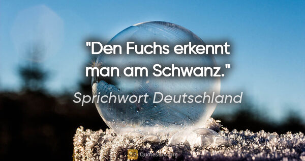 Sprichwort Deutschland Zitat: "Den Fuchs erkennt man am Schwanz."