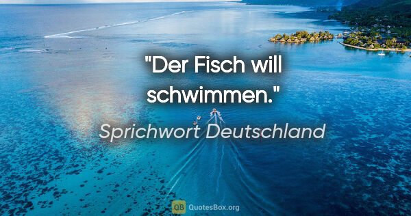 Sprichwort Deutschland Zitat: "Der Fisch will schwimmen."