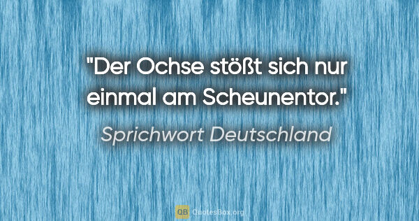 Sprichwort Deutschland Zitat: "Der Ochse stößt sich nur einmal am Scheunentor."