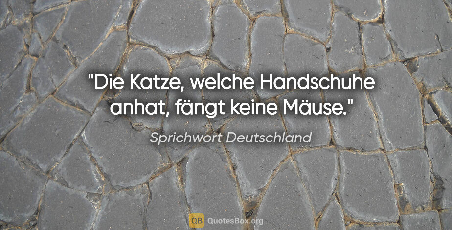 Sprichwort Deutschland Zitat: "Die Katze, welche Handschuhe anhat, fängt keine Mäuse."
