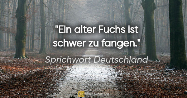 Sprichwort Deutschland Zitat: "Ein alter Fuchs ist schwer zu fangen."