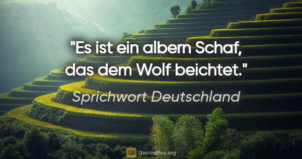 Sprichwort Deutschland Zitat: "Es ist ein albern Schaf, das dem Wolf beichtet."