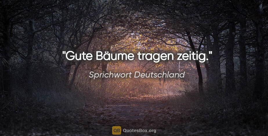 Sprichwort Deutschland Zitat: "Gute Bäume tragen zeitig."