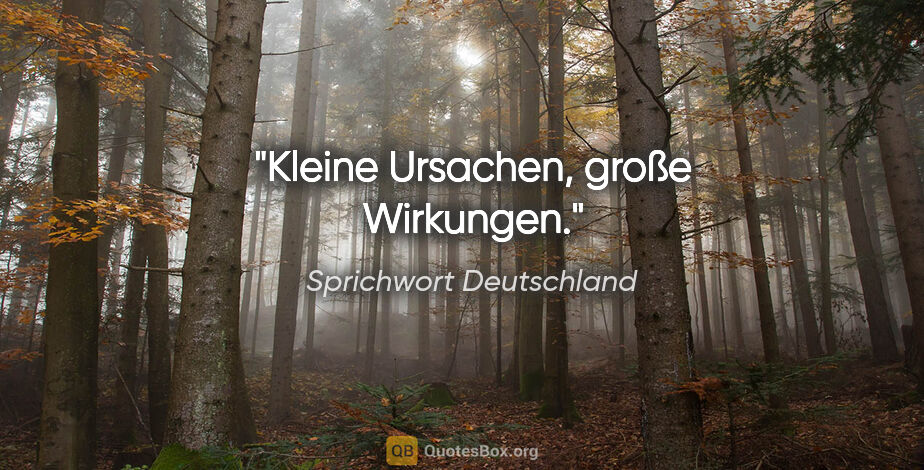 Sprichwort Deutschland Zitat: "Kleine Ursachen, große Wirkungen."