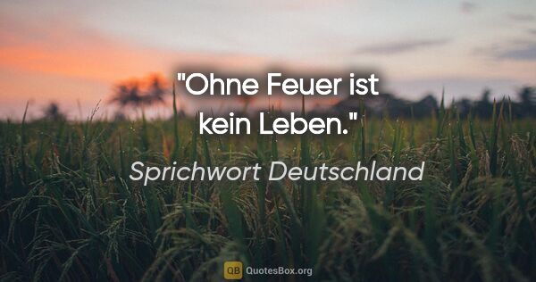 Sprichwort Deutschland Zitat: "Ohne Feuer ist kein Leben."