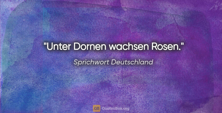 Sprichwort Deutschland Zitat: "Unter Dornen wachsen Rosen."