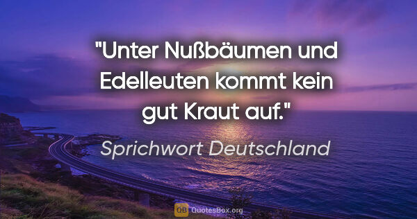 Sprichwort Deutschland Zitat: "Unter Nußbäumen und Edelleuten kommt kein gut Kraut auf."