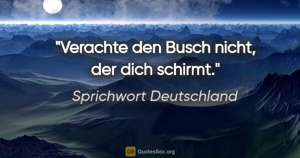 Sprichwort Deutschland Zitat: "Verachte den Busch nicht, der dich schirmt."