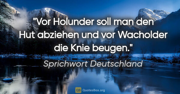 Sprichwort Deutschland Zitat: "Vor Holunder soll man den Hut abziehen und vor Wacholder die..."
