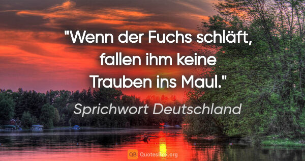 Sprichwort Deutschland Zitat: "Wenn der Fuchs schläft, fallen ihm keine Trauben ins Maul."