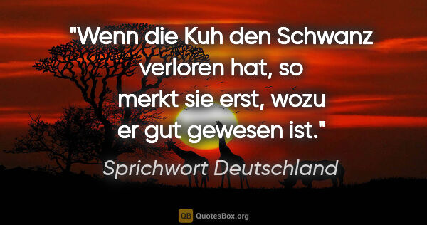 Sprichwort Deutschland Zitat: "Wenn die Kuh den Schwanz verloren hat, so merkt sie erst, wozu..."