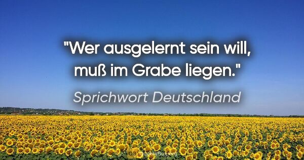 Sprichwort Deutschland Zitat: "Wer ausgelernt sein will, muß im Grabe liegen."