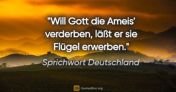 Sprichwort Deutschland Zitat: "Will Gott die Ameis' verderben, läßt er sie Flügel erwerben."