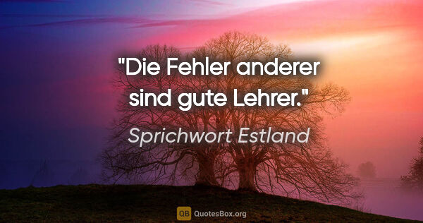 Sprichwort Estland Zitat: "Die Fehler anderer sind gute Lehrer."