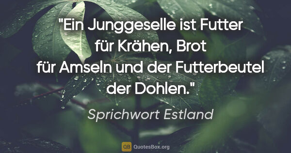 Sprichwort Estland Zitat: "Ein Junggeselle ist Futter für Krähen, Brot für Amseln und der..."