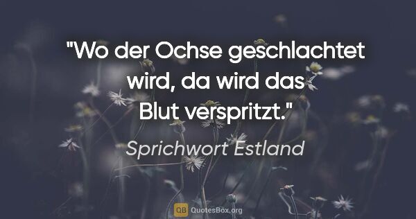 Sprichwort Estland Zitat: "Wo der Ochse geschlachtet wird, da wird das Blut verspritzt."