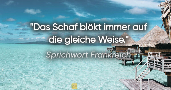 Sprichwort Frankreich Zitat: "Das Schaf blökt immer auf die gleiche Weise."