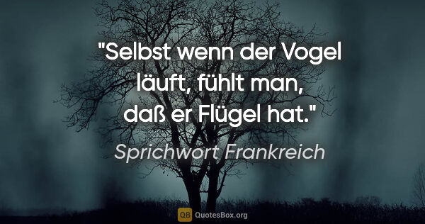 Sprichwort Frankreich Zitat: "Selbst wenn der Vogel läuft, fühlt man, daß er Flügel hat."