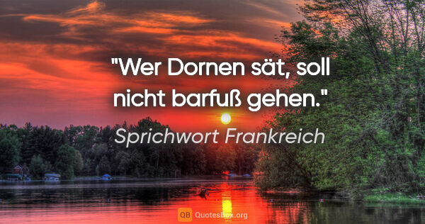 Sprichwort Frankreich Zitat: "Wer Dornen sät, soll nicht barfuß gehen."