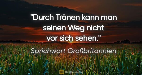 Sprichwort Großbritannien Zitat: "Durch Tränen kann man seinen Weg nicht vor sich sehen."