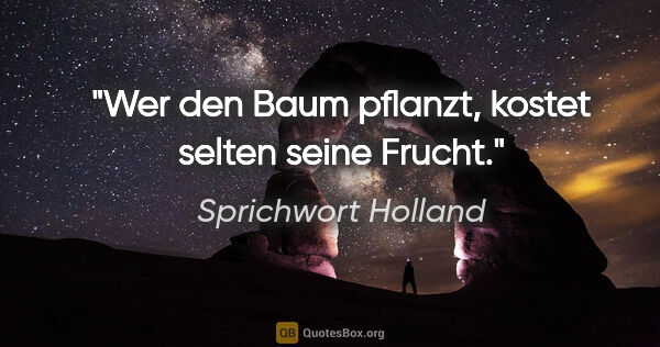 Sprichwort Holland Zitat: "Wer den Baum pflanzt, kostet selten seine Frucht."