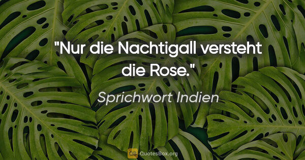 Sprichwort Indien Zitat: "Nur die Nachtigall versteht die Rose."
