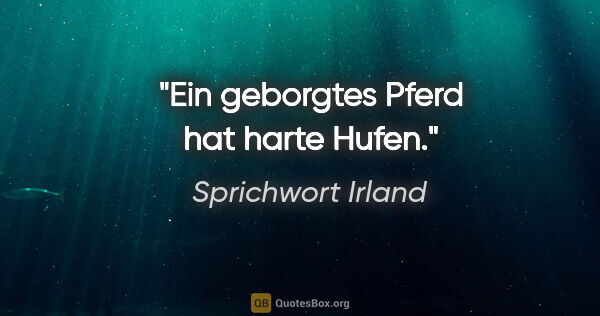 Sprichwort Irland Zitat: "Ein geborgtes Pferd hat harte Hufen."