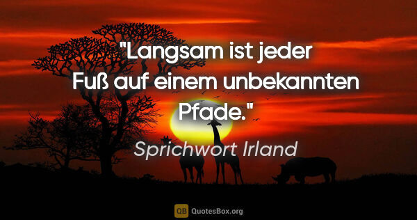 Sprichwort Irland Zitat: "Langsam ist jeder Fuß auf einem unbekannten Pfade."